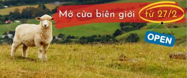 THÔNG BÁO CHÍNH SÁCH ĐÓN KHÁCH TRỞ LẠI TỪ NEW ZEALAND